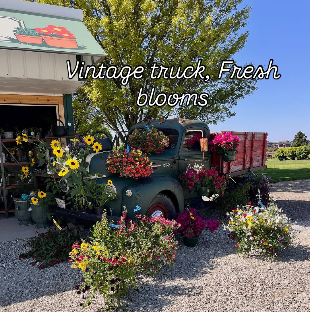 Spring blooms and hanging baskets at Millie's Filling Station