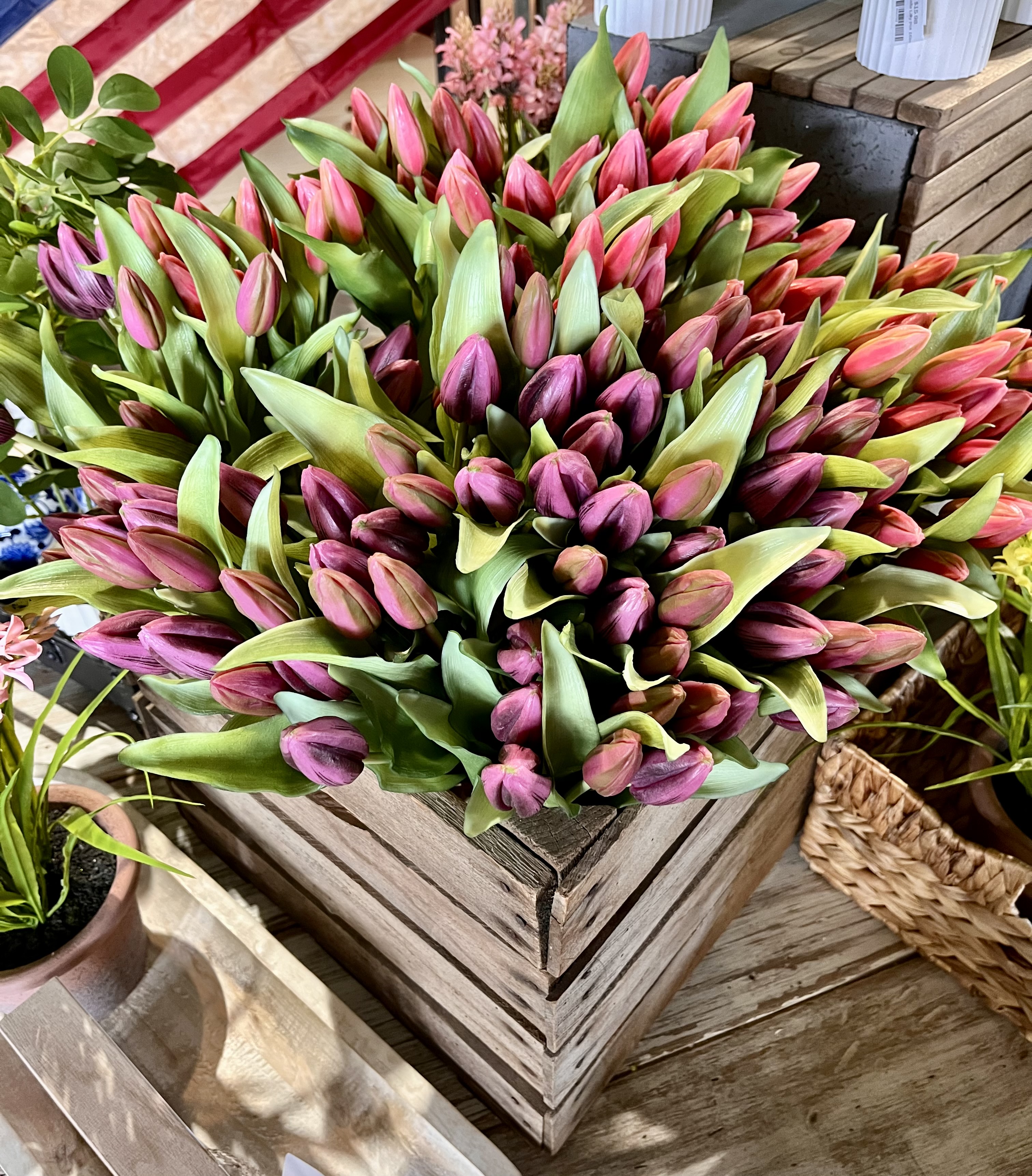 Pink and red tulips at Millie's